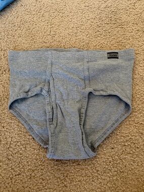 Hanes Men's Briefs in Light Gray